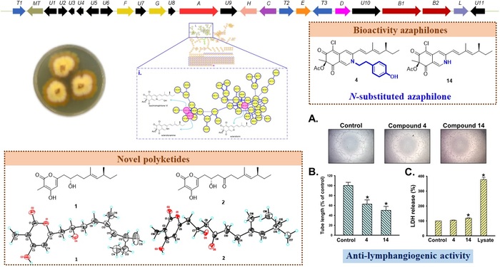 鄭源斌教授研究團隊－柯姿儀博士生研究成果發表圖片