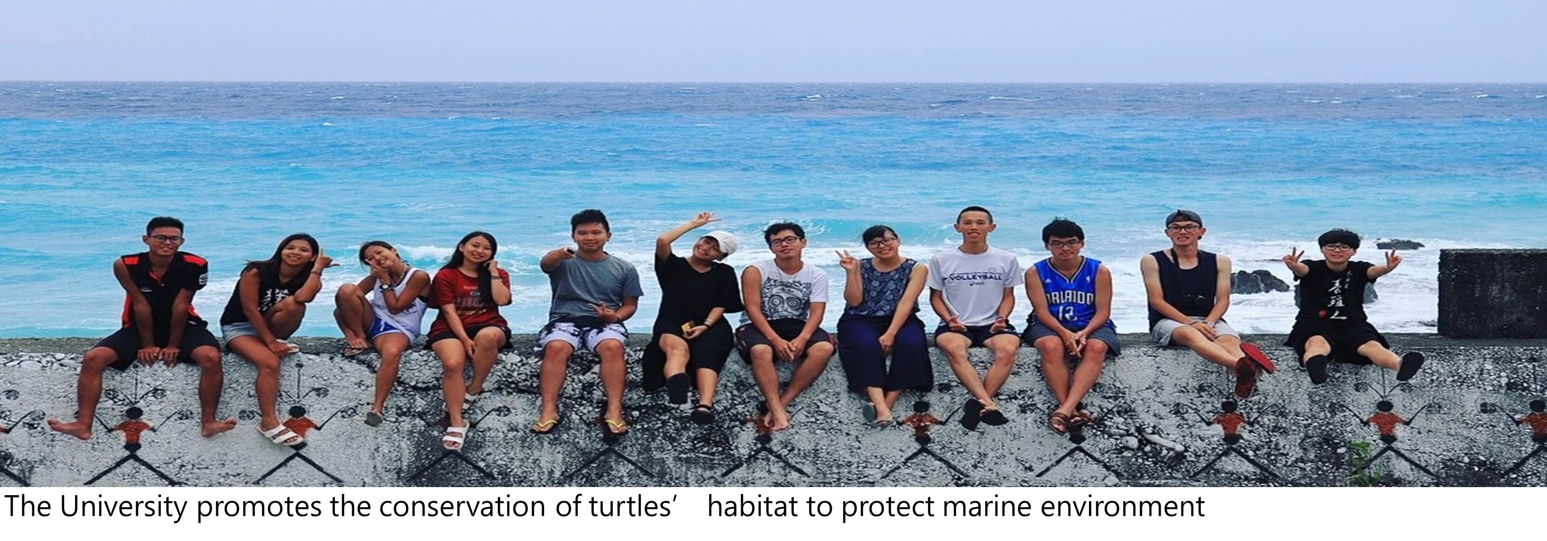 海龜保育